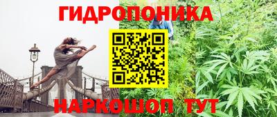 ГАЛЛЮЦИНОГЕННЫЕ ГРИБЫ Дубна
